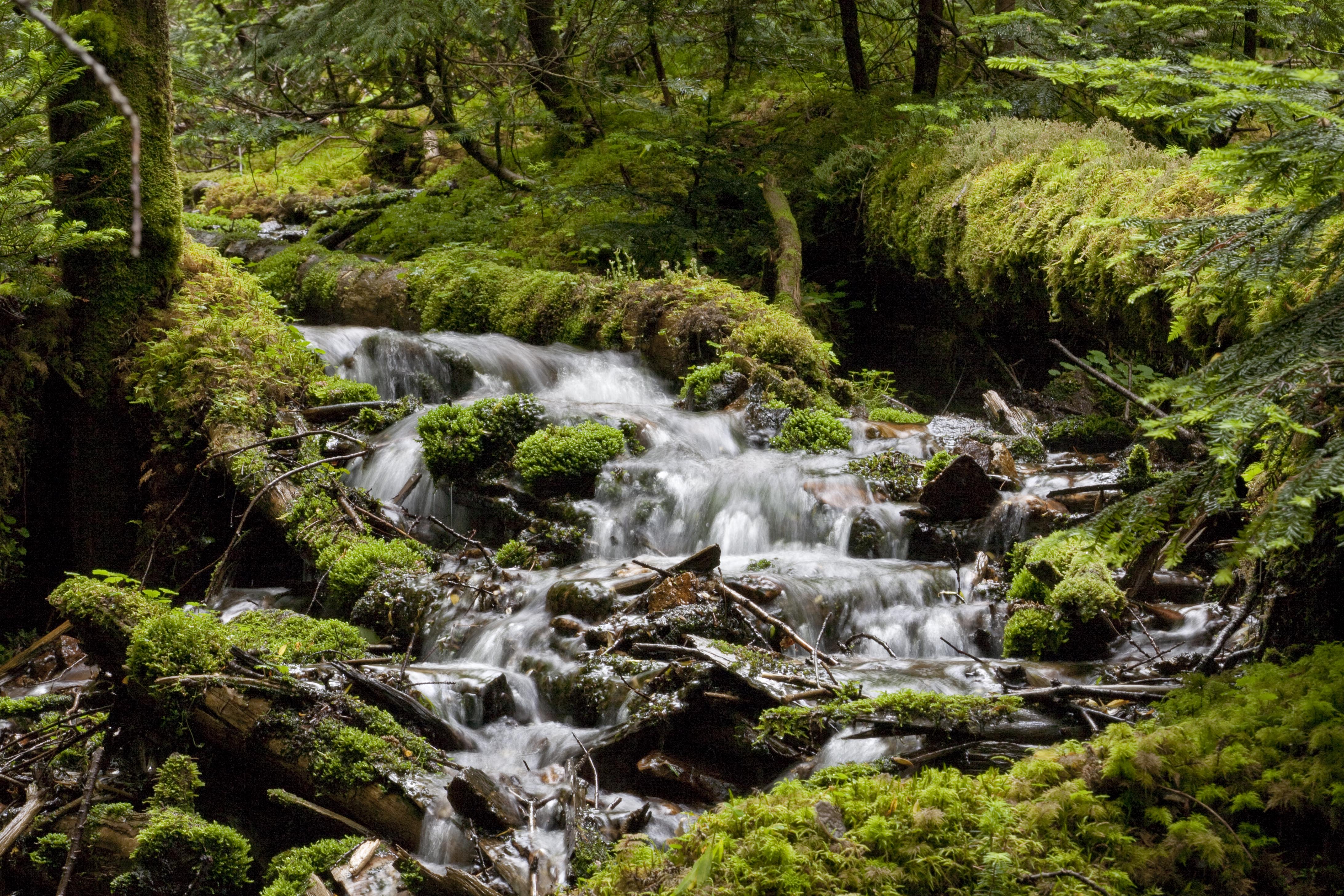 川上村　千曲川源流